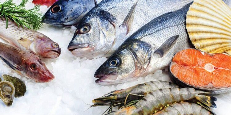 ضبط 8 أطنان أسماك مجهولة المصدر قبل طرحها بالأسواق في القليوبية 1