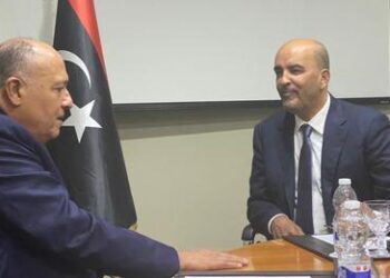 وزير الخارجية يبحث دعم ركائز الاستقرار في ليبيا مع عبد الله اللافي 1
