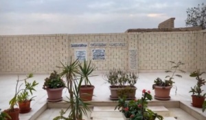 شاهد| إيمي سمير غانم أثناء زيارتها لـ قبر والديها (صور) 1