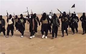 مقتل 5 عسكريين في هجوم لتنظيم "داعش" في نيجيريا 1