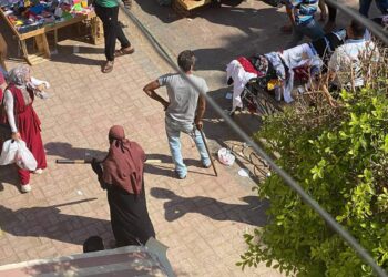بلطجة وترويع للمواطنين.. سوق مدينة ناصر بـ سوهاج خارج نطاق الخدمة والأهالي يستغيثون (صور) 5
