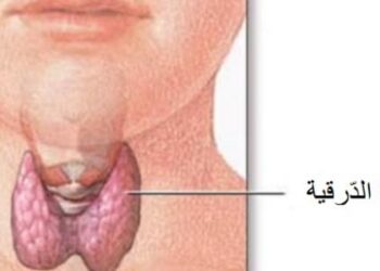فيديو.. أحمد عبد الهادي يكشف علاج أورام الغدة الدرقية 1