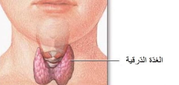 فيديو.. أحمد عبد الهادي يكشف علاج أورام الغدة الدرقية 1