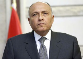 وزير الخارجية يشارك في منتدى "صير بني ياس" بالإمارات 1