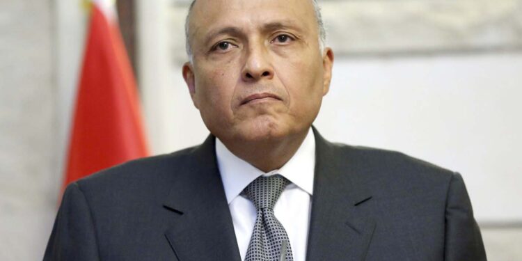 شكري: مصر لم تكن السبب في انقطاع مفاوضات سد النهضة 1