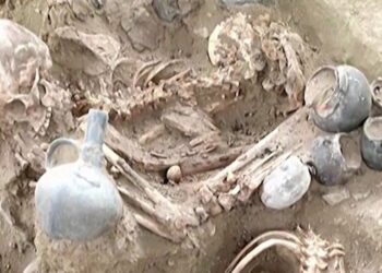 اكتشاف مقبرة جماعية تضم عشرات الهياكل من القرن الخامس عشر 1