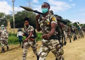 خوفًا من تصاعد الأمر.. المجلس الأوروبي يُشدد على وقف إطلاق النار بإثيوبيا 2