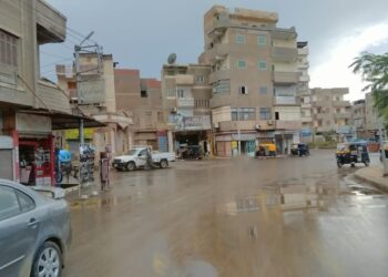 لسوء الأحوال الجوية.. محافظ كفر الشيخ: سقوط أعمدة إنارة وأشجار دون وقوع إصابات