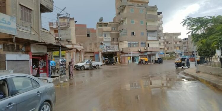 لسوء الأحوال الجوية.. محافظ كفر الشيخ: سقوط أعمدة إنارة وأشجار دون وقوع إصابات