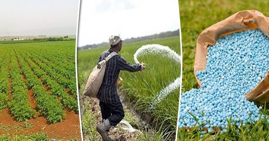 وزير الزراعة: إلزام شركات الأسمدة بتوريد 55% من الإنتاج المدعم