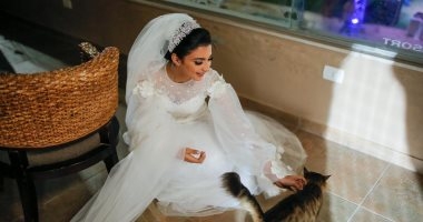 عروس تترك حفل زفافها والسبب قطة!.. تعرف على التفاصيل 1