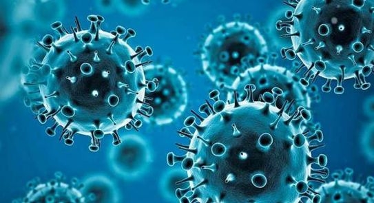 مصر لم تصل لذروة الموجة الرابعة من فيروس كورونا