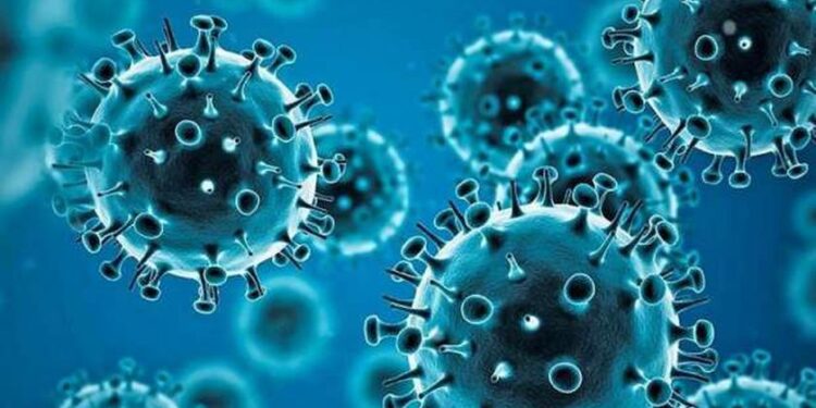 الصحة: تسجيل 911 حالة إيجابية جديدة بفيروس كورونا و 73 حالة وفاة