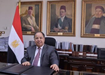 وزير المالية : الحراك التنموى غير المسبوق جعل مصر أكثر جذبًا للاستثمارات 5