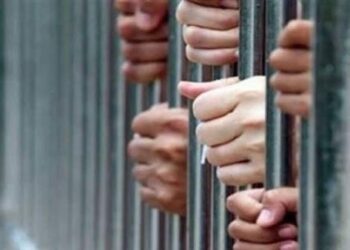 تجديد حبس المتهمين بتزوير المحررات الرسمية وتقليد الأختام الحكومية بالمرج 8