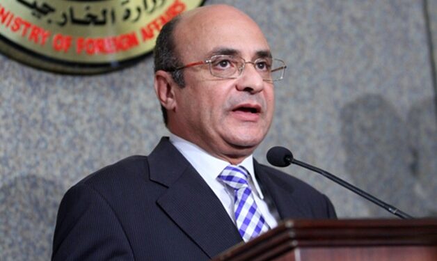 وزير العدل المصري: أصدرنا تشريعات لتعزيز حقوق الإعاقة والمساواة وبناء الكنائس 1