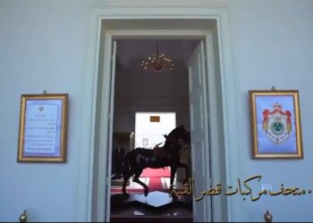 متحدث الرئاسة ينشر فيديو عن تطوير "قصر القبة" 2