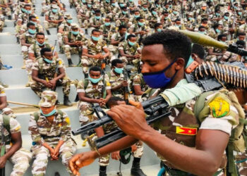 «كفاكم انتهاكات لحقوق الإنسان».. إثيوبيا تُعلن انتهاء العمليات العسكرية ضد تيجراي 1