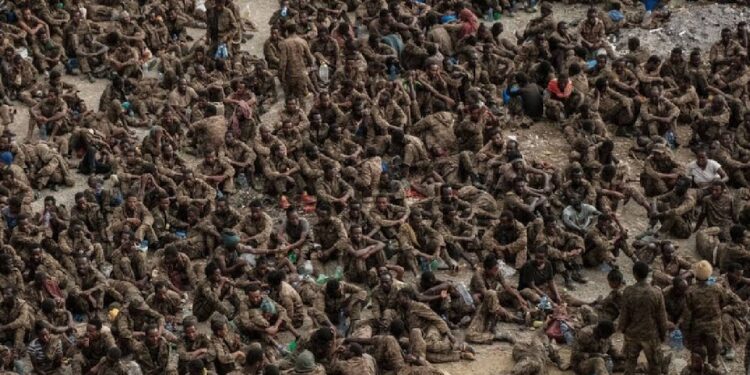 قوات تيجراي تعرض مشاهد صادمة لألاف الأسرى الإثيوبيين (فيديو)