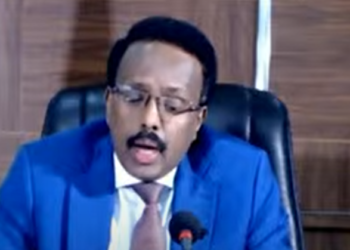 الرئيس الصومالي: التكامل الرقمي مفتاح المستقبل 2