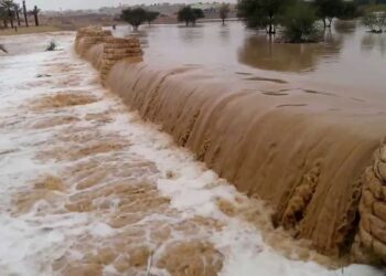 مصدر بالري يكشف حقيقة الفيديو المتداول عن غرق بعض الأراضي الزراعية جراء السيول 6