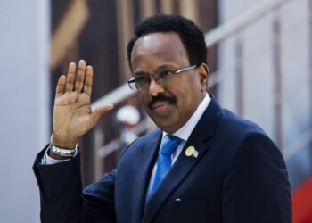 الرئيس الصومالي يشدد على سرعة العمل على التعافي من كورونا 2