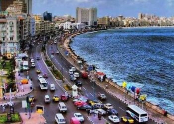 فيديو.. محافظ الإسكندرية: إعداد حواجز لمواجهة أي ارتفاعات محتملة في منسوب مياه البحر 7