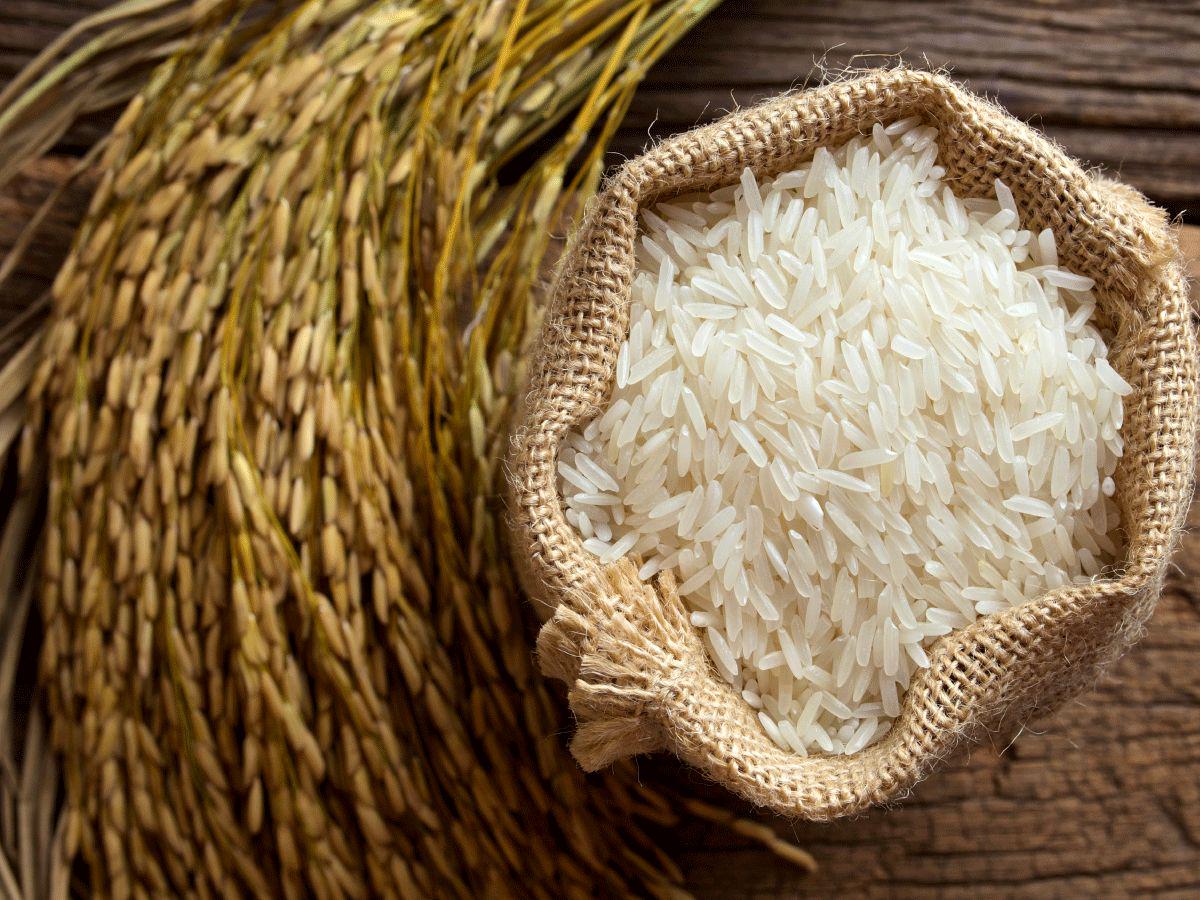 "التموين" تطرح كيلو الأرز رفيع الحبة بـ 25 جنيها والعريض 27 بالدقهلية 3