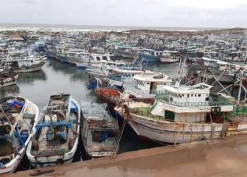 بسبب ارتفاع الأمواج.. توقف حركة الملاحة في ميناء الصيد بكفر الشيخ