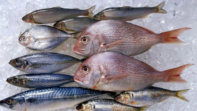 «ليلة رأس السنة بلاش سمك».. ارتفاع أسعار الأسماك مجددًا 1