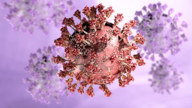 المقلق «متحور أوميكرون».. انتشاره أسرع 70 مرة من فيروس كورونا 1