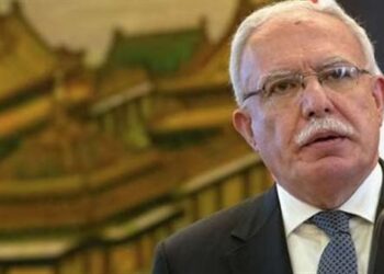 وزير الخارجية الفلسطيني: ندعم المحكمة الجنائية والتزمها 4