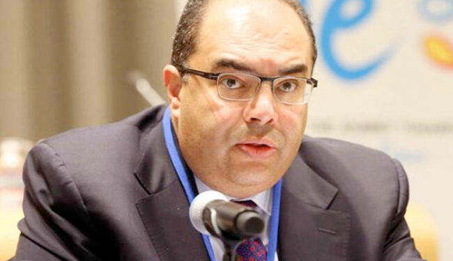 الدكتور محمود محيي الدين، المدير التنفيذي بصندوق النقد الدولي