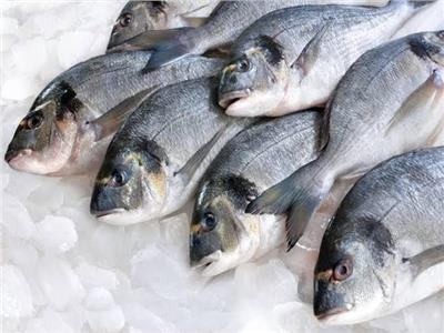 التموين يعلن تخفيض أسعار الأسماك بالمنافذ المتنقلة 1