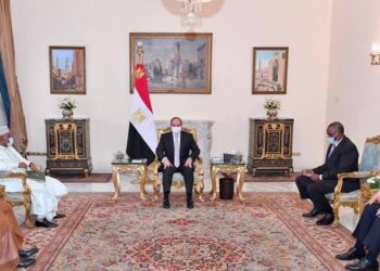السيسي يؤكد دعم مصر لمهمة الأمين العام لمنظمة التعاون الاسلامي 1