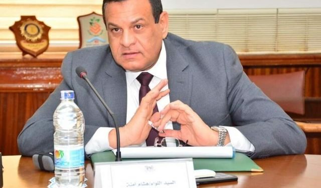 هشام آمنة وزير التنمية المحلية