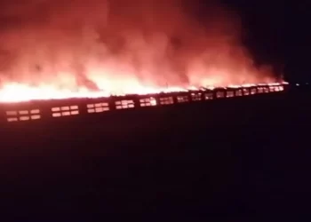 حريق هائل يلتهم مزرعة دواجن بالغربية 7