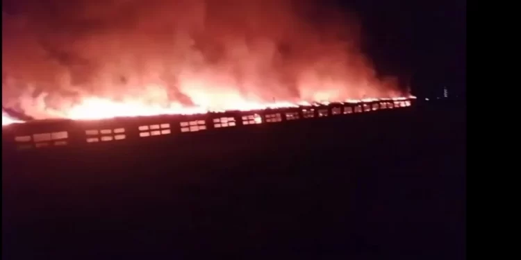 حريق هائل يلتهم مزرعة دواجن بالغربية 1