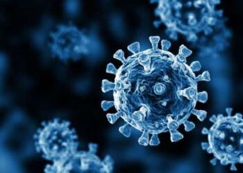 اكتشاف 21 متحور من فيروس كورونا لدى مصابة بالإيدز في جنوب إفريقيا 1