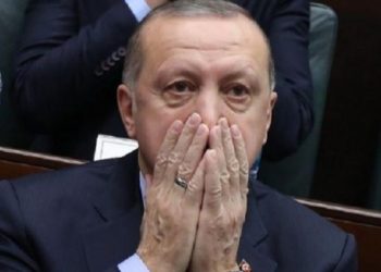 عاجل| «أردوغان تحت الميكروسكوب» دعوى قضائية تُشكك في ثروة الرئيس التركي 1