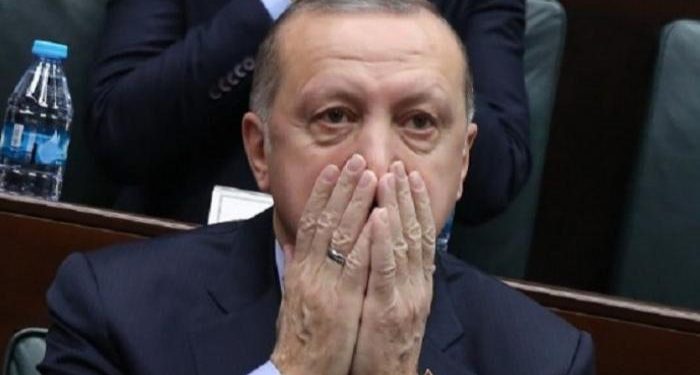 عاجل| «أردوغان تحت الميكروسكوب» دعوى قضائية تُشكك في ثروة الرئيس التركي 1
