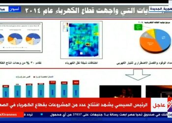 وزير الكهرباء: مصر كانت تعاني من عجز في الاكتفاء من الكهرباء حتى 2014 4