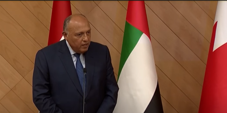 شكري: اجتماع وزراء خارجية مجلس التعاون يحفظ أمن ومقدرات المنطقة العربية 1