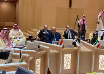 وزير الخارجية: أمن الخليج وبلدانه جزءا لا يتجزأ من أمن مصر 5