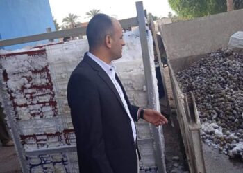 «صحة الاسماعيلية»: إعدام 12 طن تين منتهي الصلاحية بالقصاصين