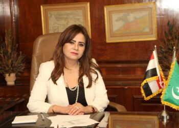 برلمانية: كشف التسريب المفبرك المنسوب لأجهزة الدولة نجاح جديد للداخلية المصرية 1