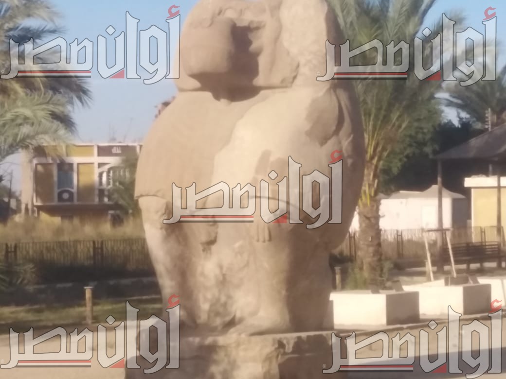 «مخالفات بالجملة».. جرس إنذار داخل وزارة الآثار بسبب فساد مخزن "الأشمونين" 9
