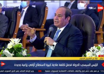 السيسي: أنا مش بفكر في حاجة غير في مصلحة مصر 1