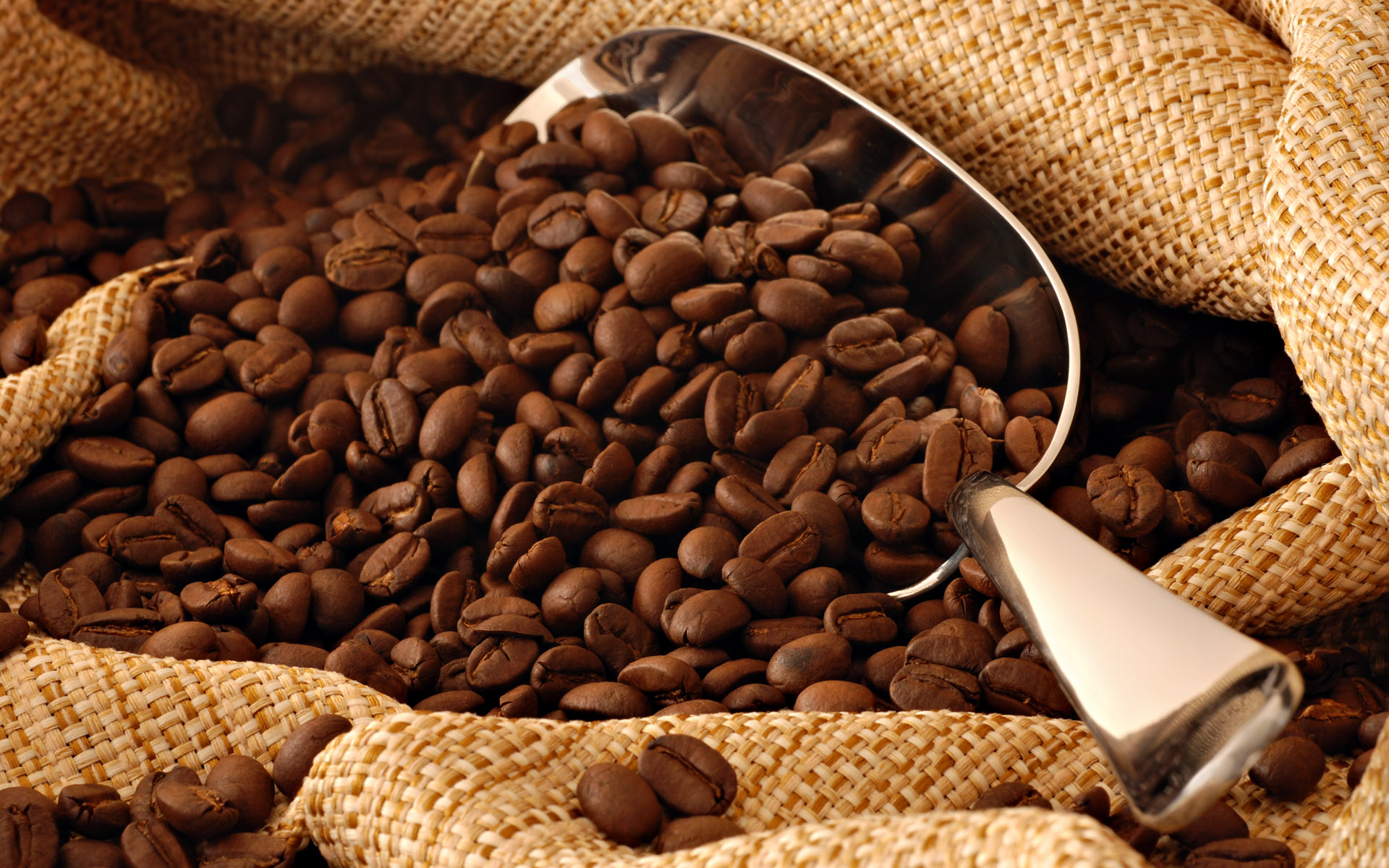 ع المظبوط.. «الإحصاء»: المصريون شربوا قهوه بـ 84 مليون خلال 8 شهور 1