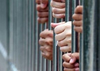 جنايات القاهرة: المشدد 20 عامًا لـ 4 متهمين بتجارة المخدرات والسلاح